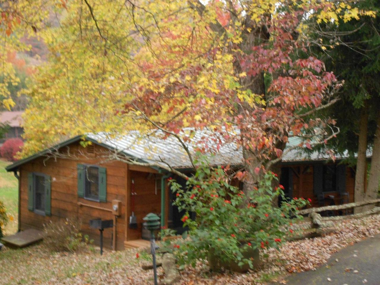Mountain Springs Cabins Candler Exterior foto