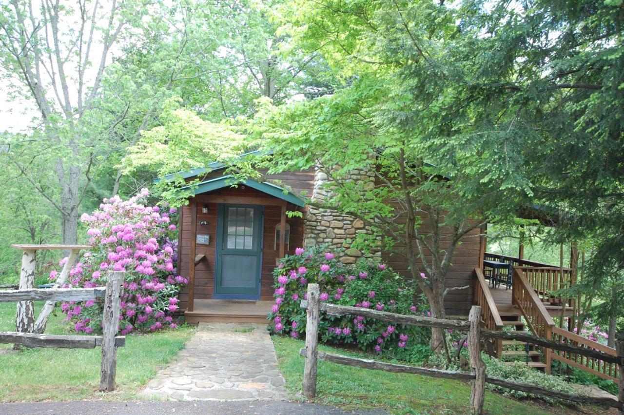 Mountain Springs Cabins Candler Exterior foto