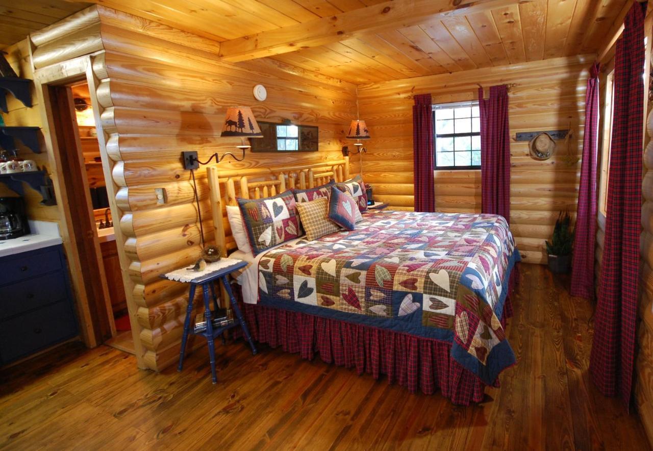 Mountain Springs Cabins Candler Exterior foto