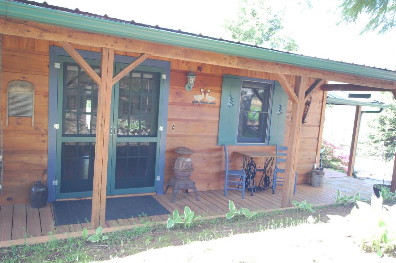 Mountain Springs Cabins Candler Exterior foto