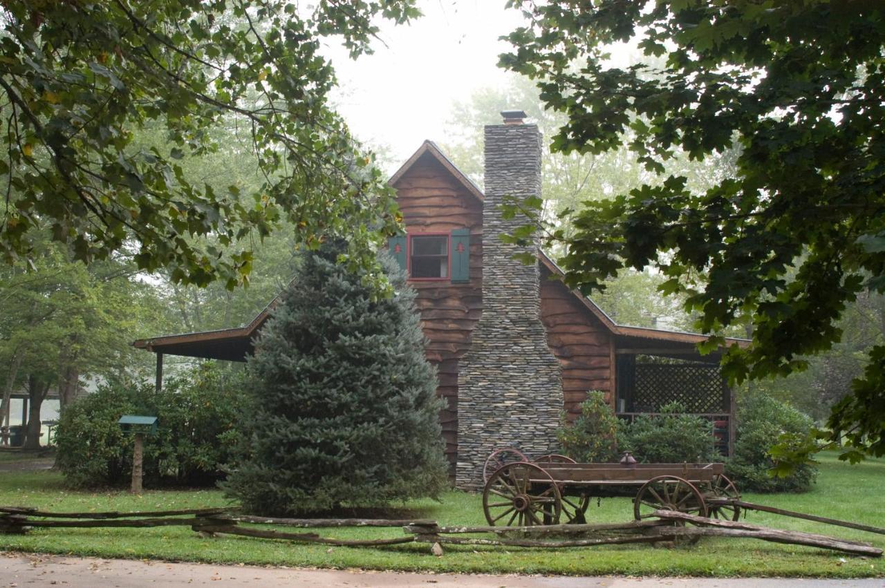 Mountain Springs Cabins Candler Exterior foto