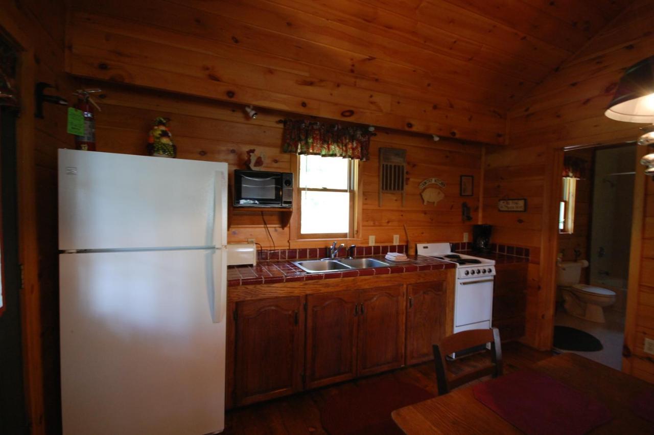 Mountain Springs Cabins Candler Exterior foto