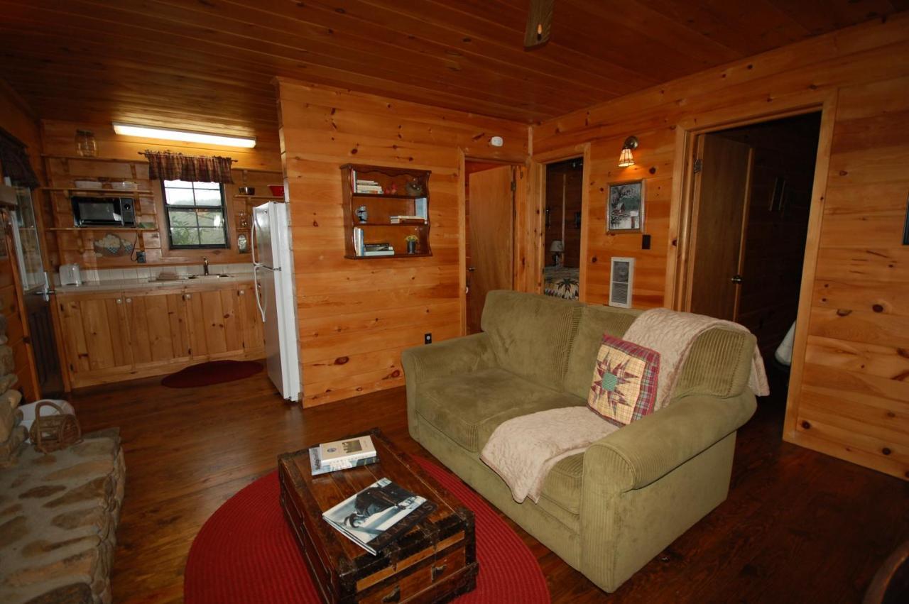 Mountain Springs Cabins Candler Exterior foto