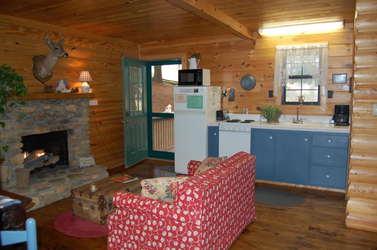 Mountain Springs Cabins Candler Exterior foto