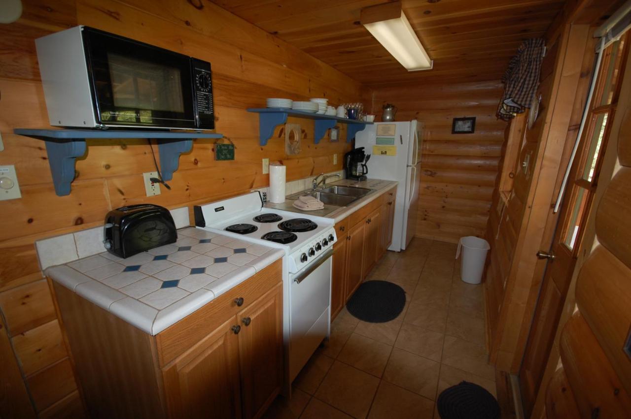 Mountain Springs Cabins Candler Exterior foto