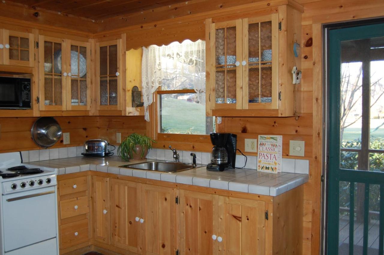 Mountain Springs Cabins Candler Exterior foto