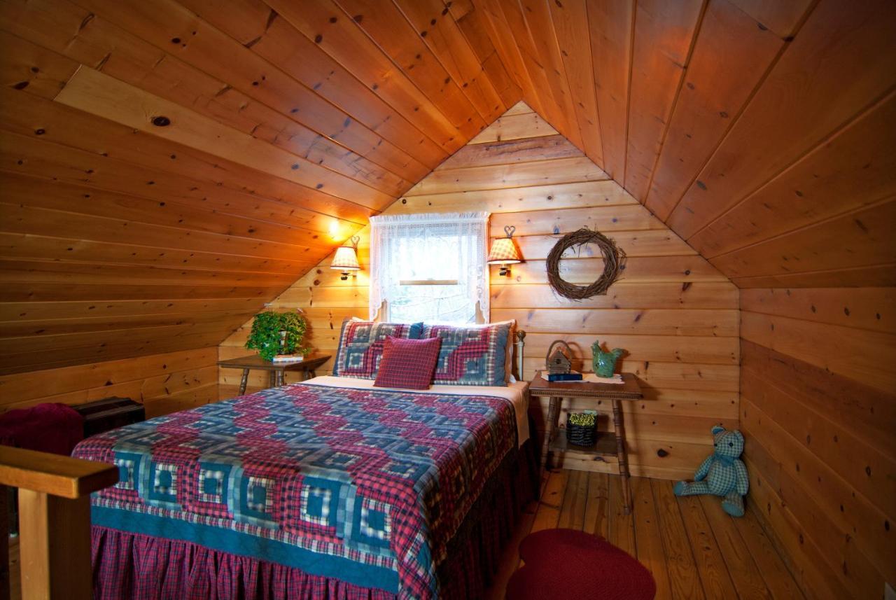 Mountain Springs Cabins Candler Exterior foto