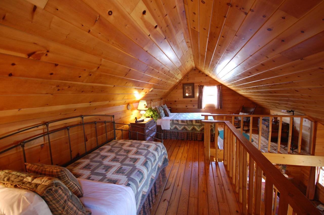 Mountain Springs Cabins Candler Exterior foto
