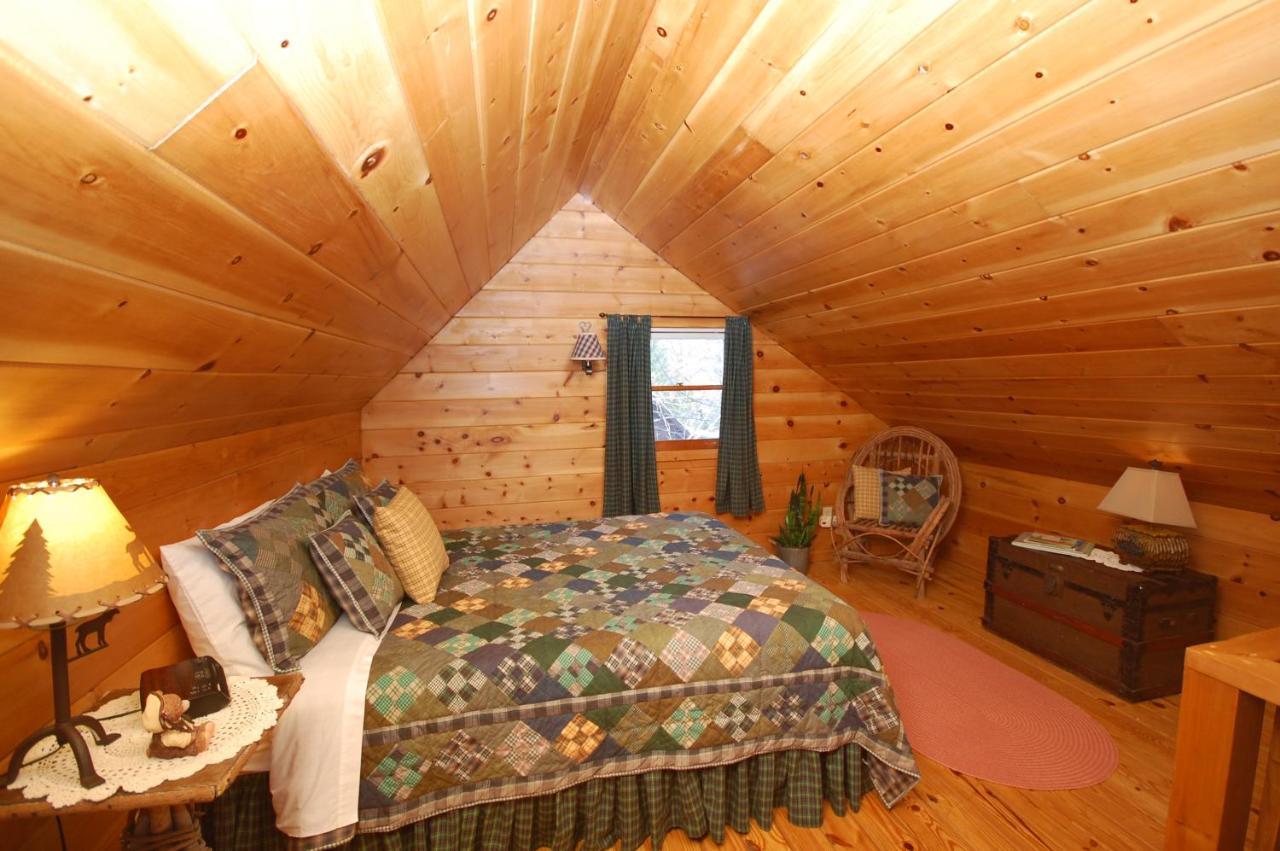 Mountain Springs Cabins Candler Exterior foto