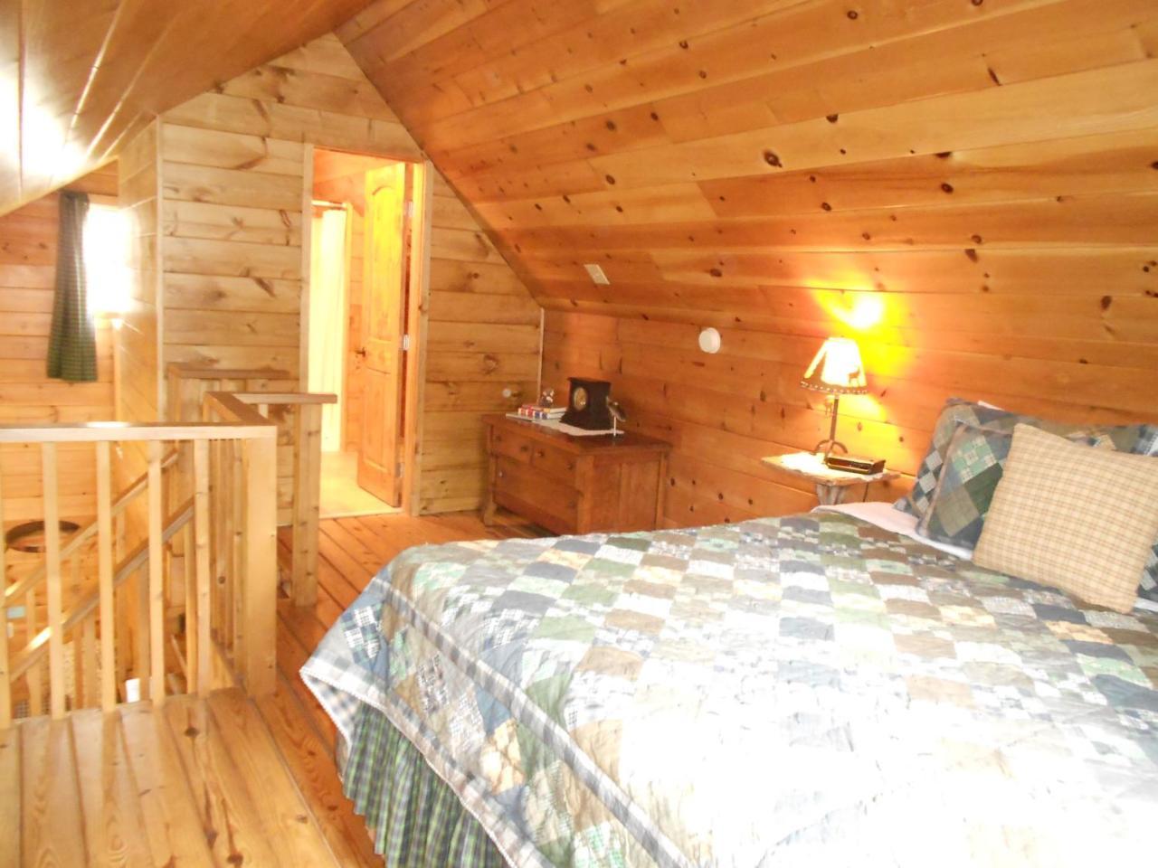 Mountain Springs Cabins Candler Exterior foto
