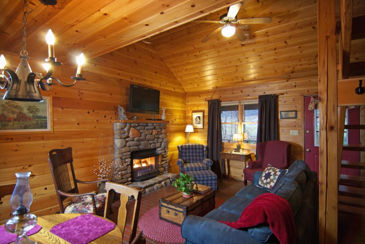 Mountain Springs Cabins Candler Exterior foto