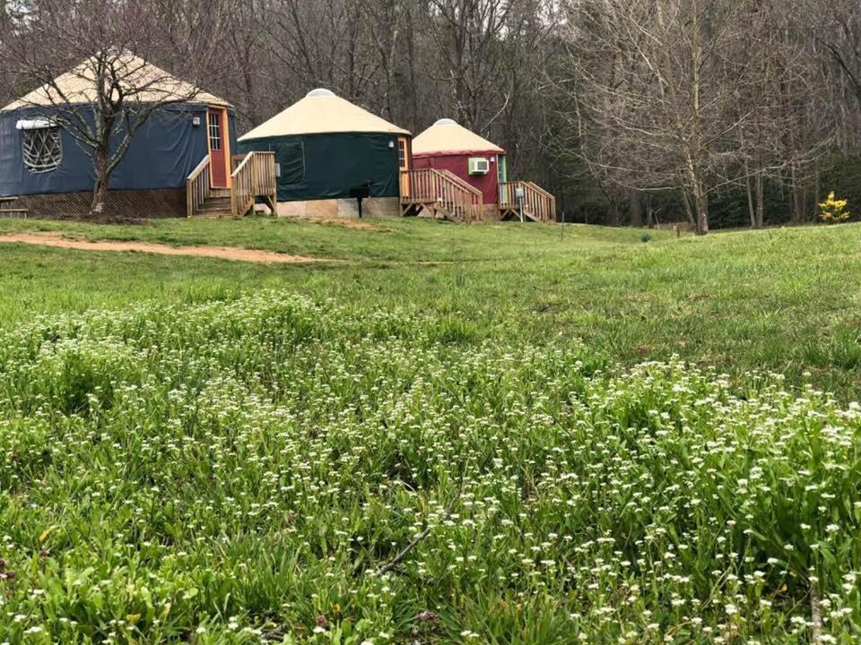 Mountain Springs Cabins Candler Exterior foto